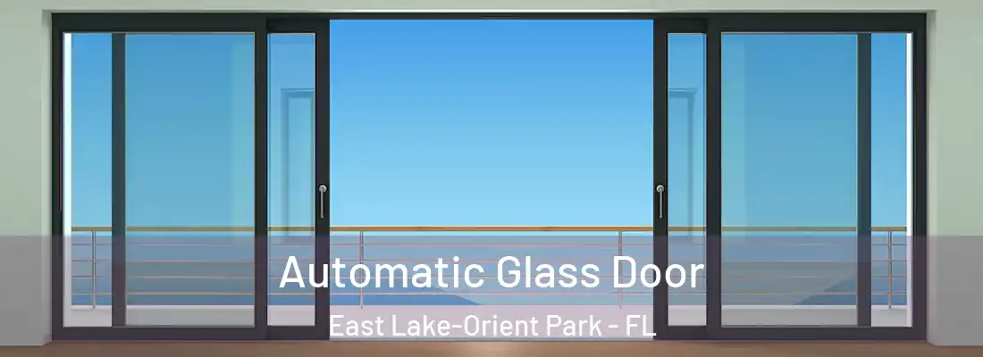 Automatic Glass Door East Lake-Orient Park - FL