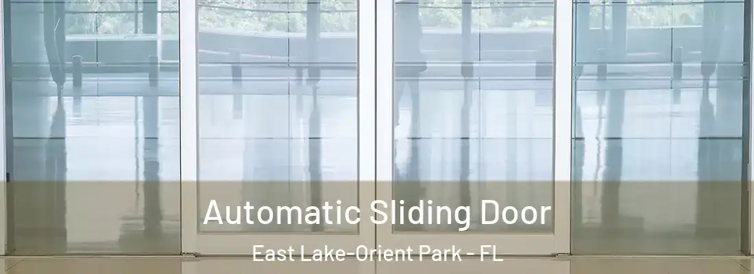 Automatic Sliding Door East Lake-Orient Park - FL