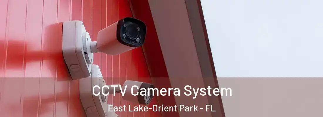 CCTV Camera System East Lake-Orient Park - FL