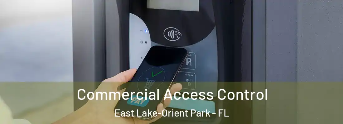 Commercial Access Control East Lake-Orient Park - FL