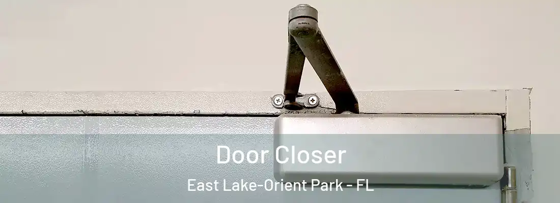 Door Closer East Lake-Orient Park - FL