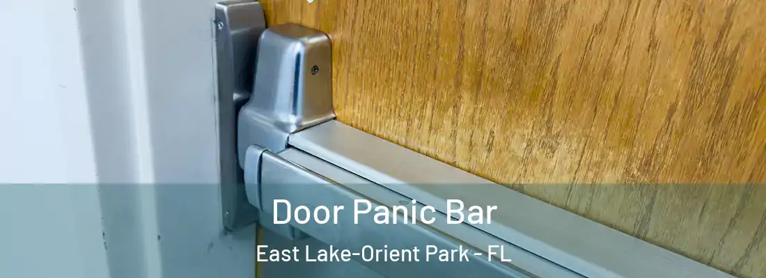 Door Panic Bar East Lake-Orient Park - FL