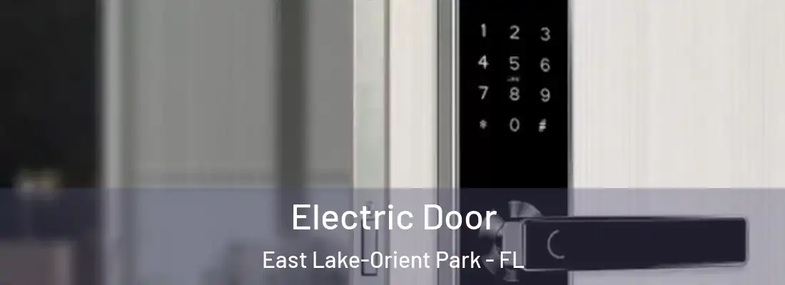 Electric Door East Lake-Orient Park - FL