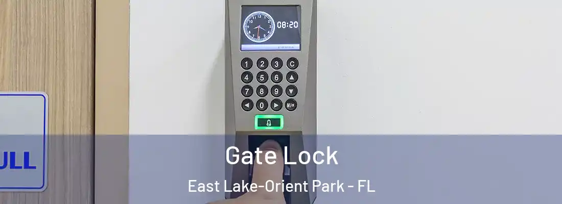 Gate Lock East Lake-Orient Park - FL