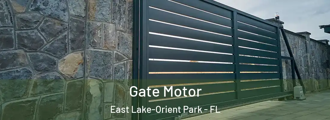 Gate Motor East Lake-Orient Park - FL