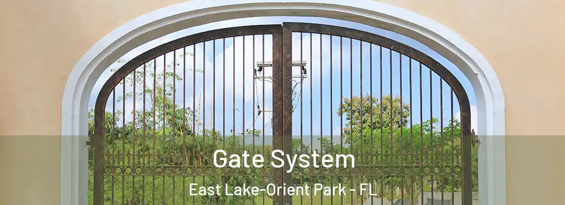 Gate System East Lake-Orient Park - FL