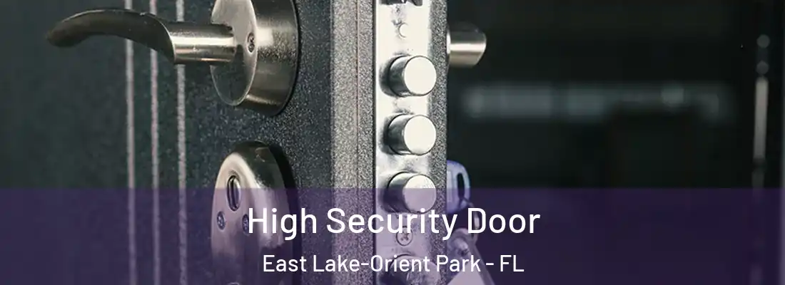 High Security Door East Lake-Orient Park - FL