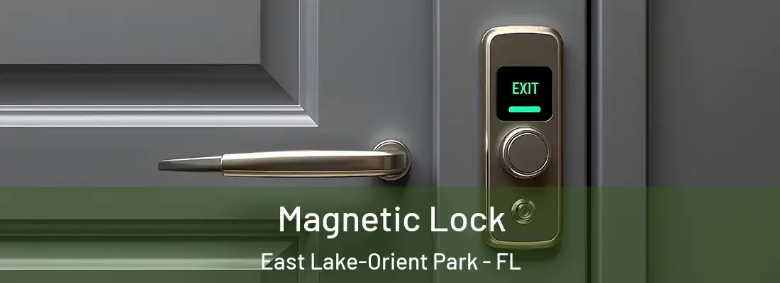 Magnetic Lock East Lake-Orient Park - FL