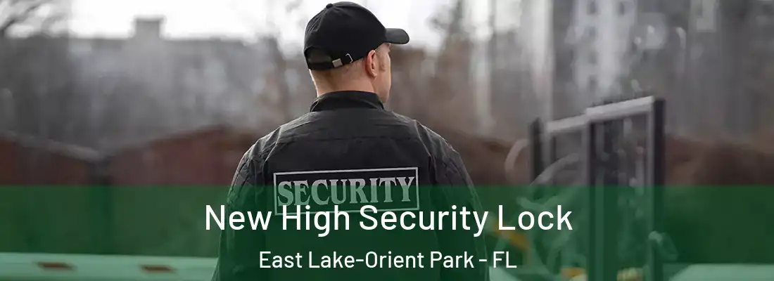 New High Security Lock East Lake-Orient Park - FL