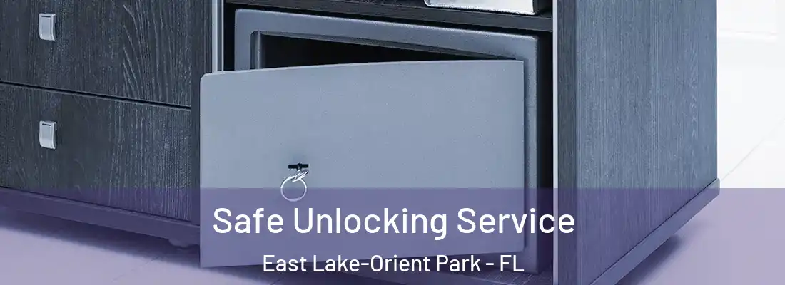 Safe Unlocking Service East Lake-Orient Park - FL