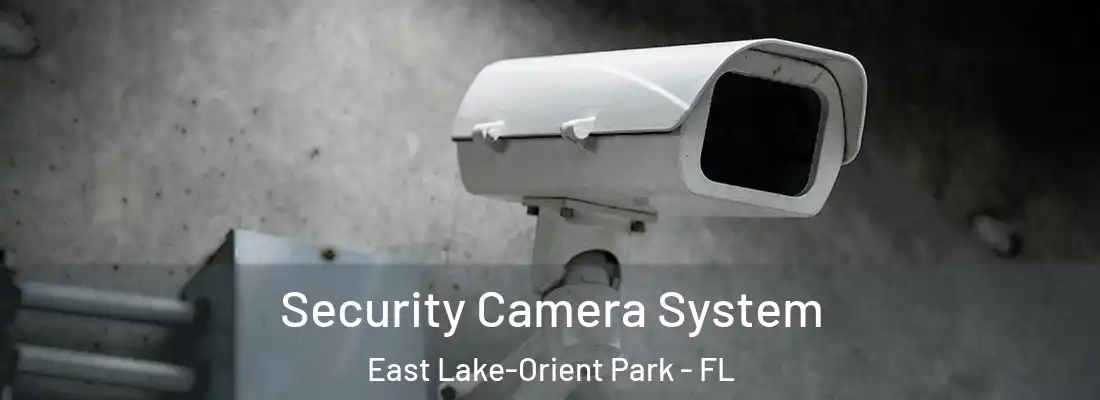 Security Camera System East Lake-Orient Park - FL
