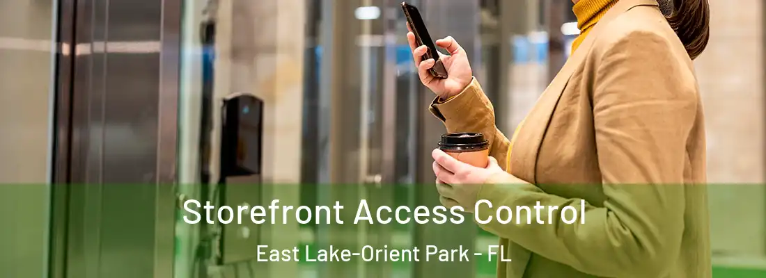 Storefront Access Control East Lake-Orient Park - FL
